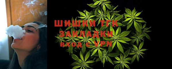 PSILOCYBIN Белокуриха