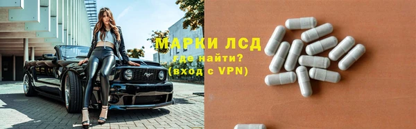 PSILOCYBIN Белокуриха