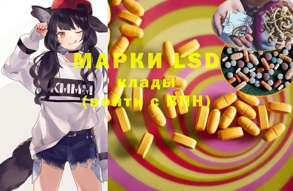 PSILOCYBIN Белокуриха
