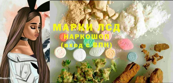 PSILOCYBIN Белокуриха
