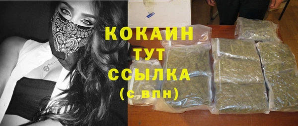 PSILOCYBIN Навашино