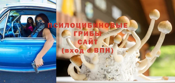PSILOCYBIN Белокуриха