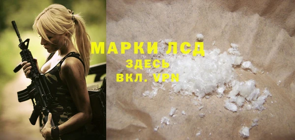 PSILOCYBIN Белокуриха