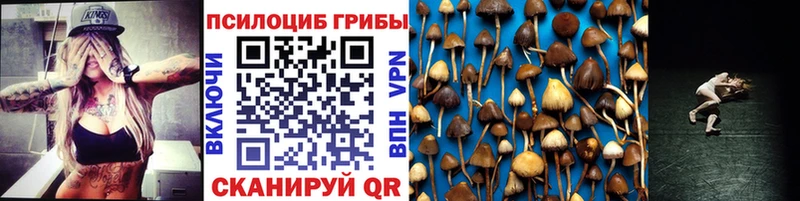 Псилоцибиновые грибы ЛСД  Богданович 